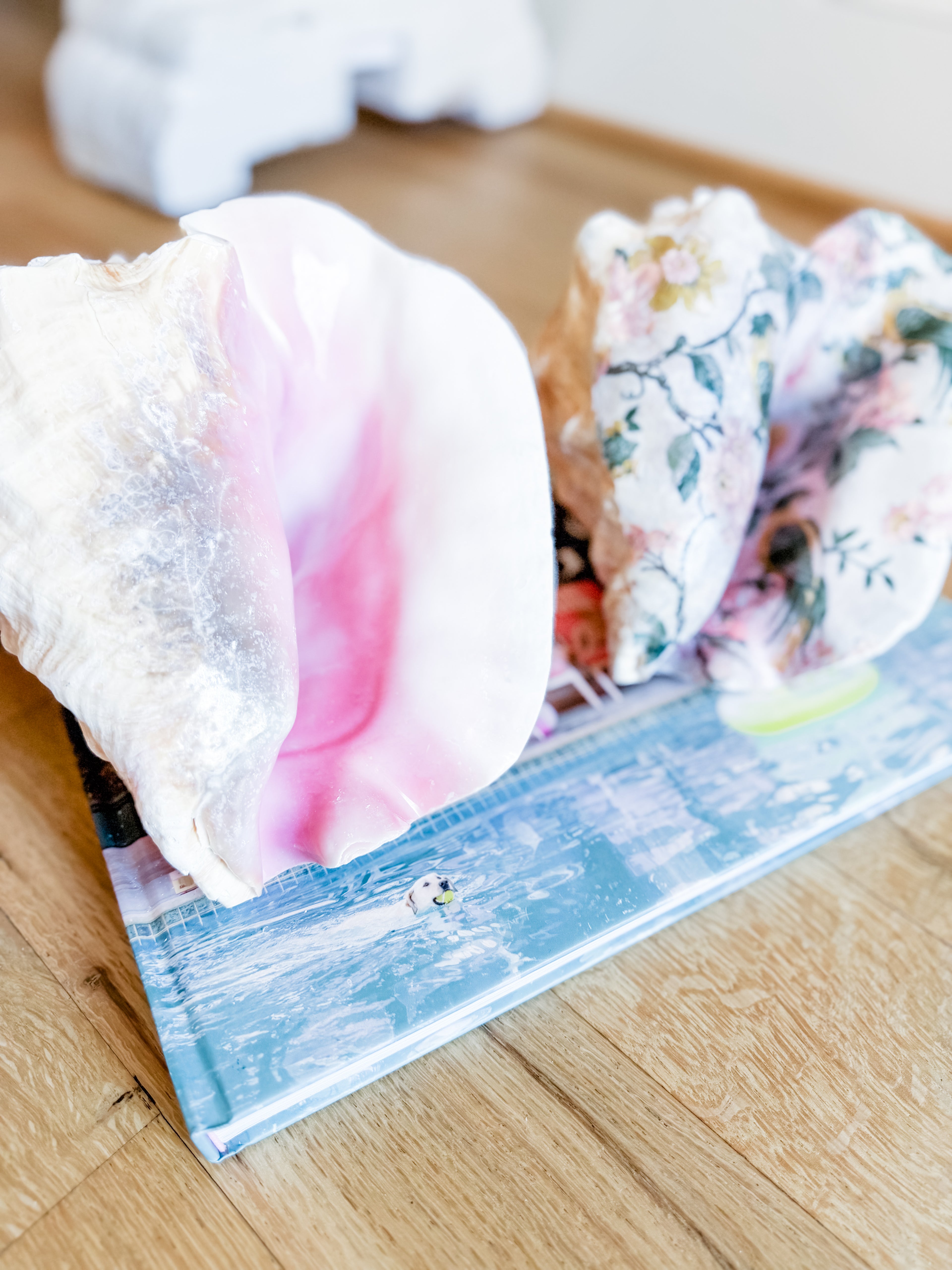 Boon Birdie Conch Shell